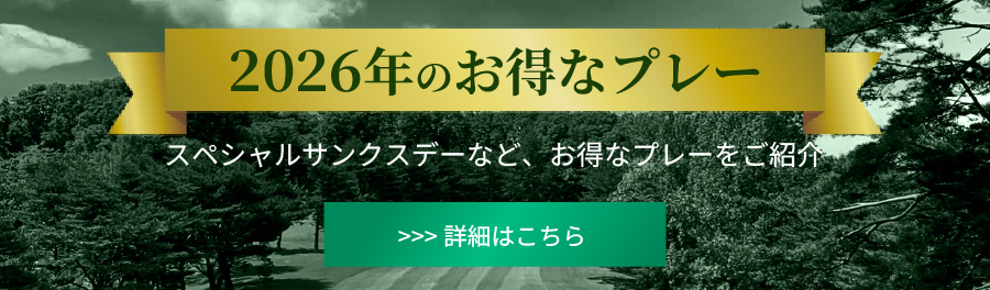 お得プレー画像